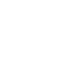 Logo Boston Whaler
