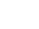 Logo Evasive Motorsports