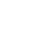 Logo Riostar