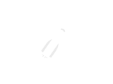 Logo Bristol Spaceplanes