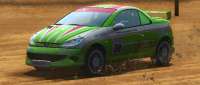 Peugeot 206 RCC