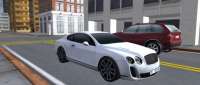 Bentley Continental Supersports