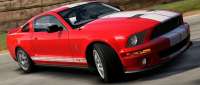 Ford Shelby GT500