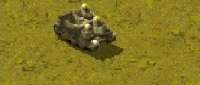 Universal Carrier Bren Carrier Mk.II