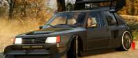 Peugeot 205 Turbo 16
