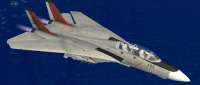 Grumman F-14 Tomcat