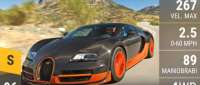 Bugatti Veyron Super Sport