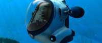 Made for Game Submersible