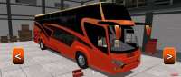 Custom Made Single Decker Bus