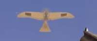 Etrich Rumpler Taube
