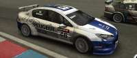 Peugeot 407 WTCC
