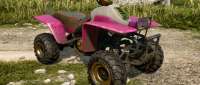 Yamaha Raptor