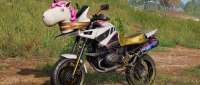 BMW R 1100 GS