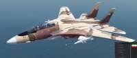 Grumman F-14A